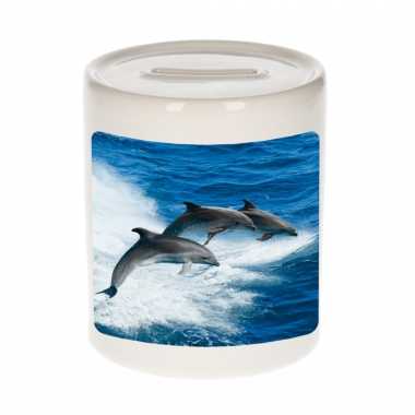 Dieren foto spaarpot dolfijn groep 9 cm - dolfijnen spaarpotten jongens en meisjes bestellen