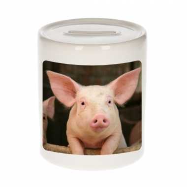 Dieren foto spaarpot varken 9 cm - varkens spaarpotten jongens en meisjes bestellen